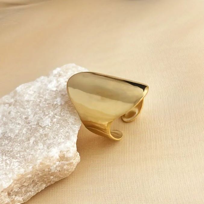 Large Polished Ring