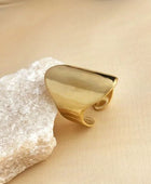 Large Polished Ring