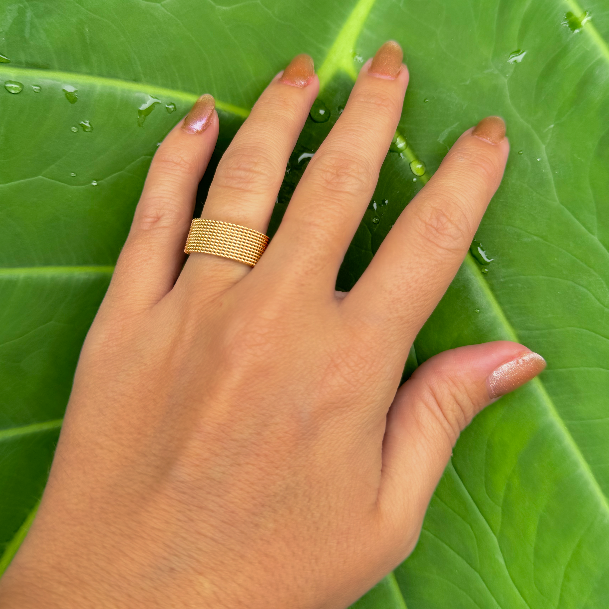 Eva Ring
