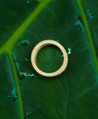 Eva Ring