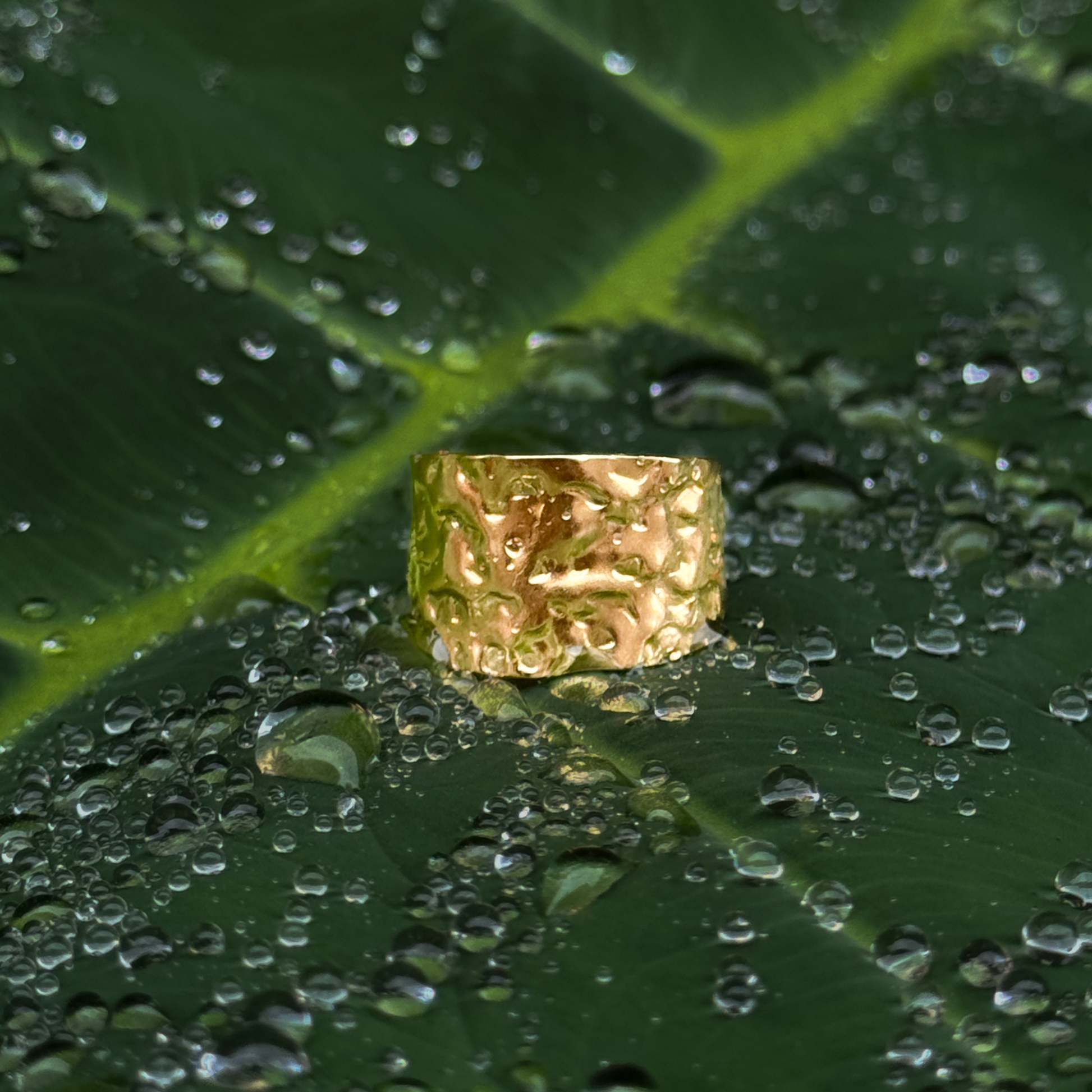 Hammered Ring