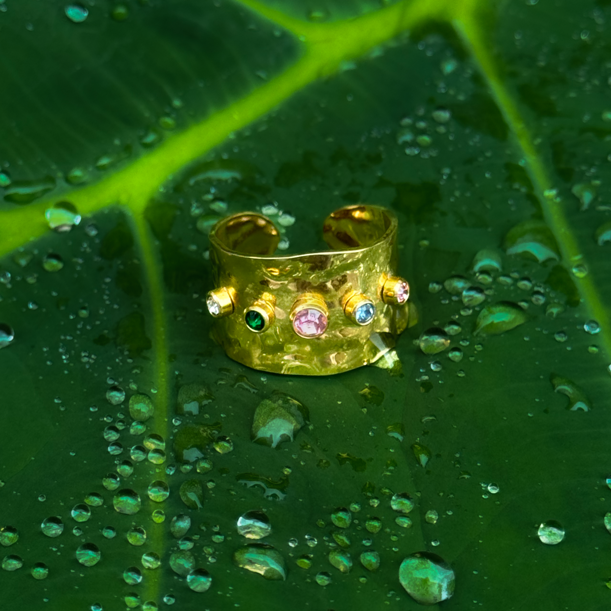 Judit Ring