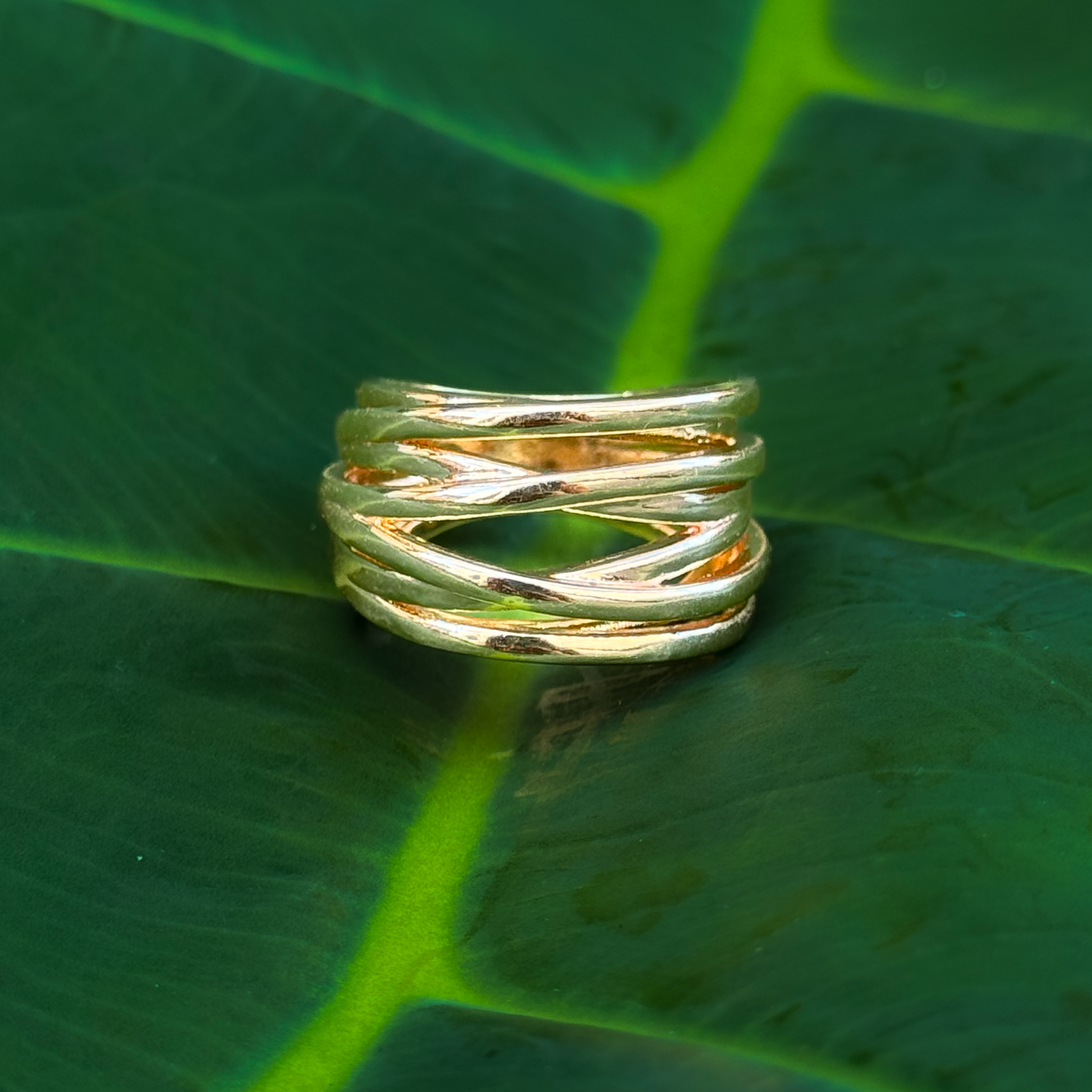 Miriam Ring