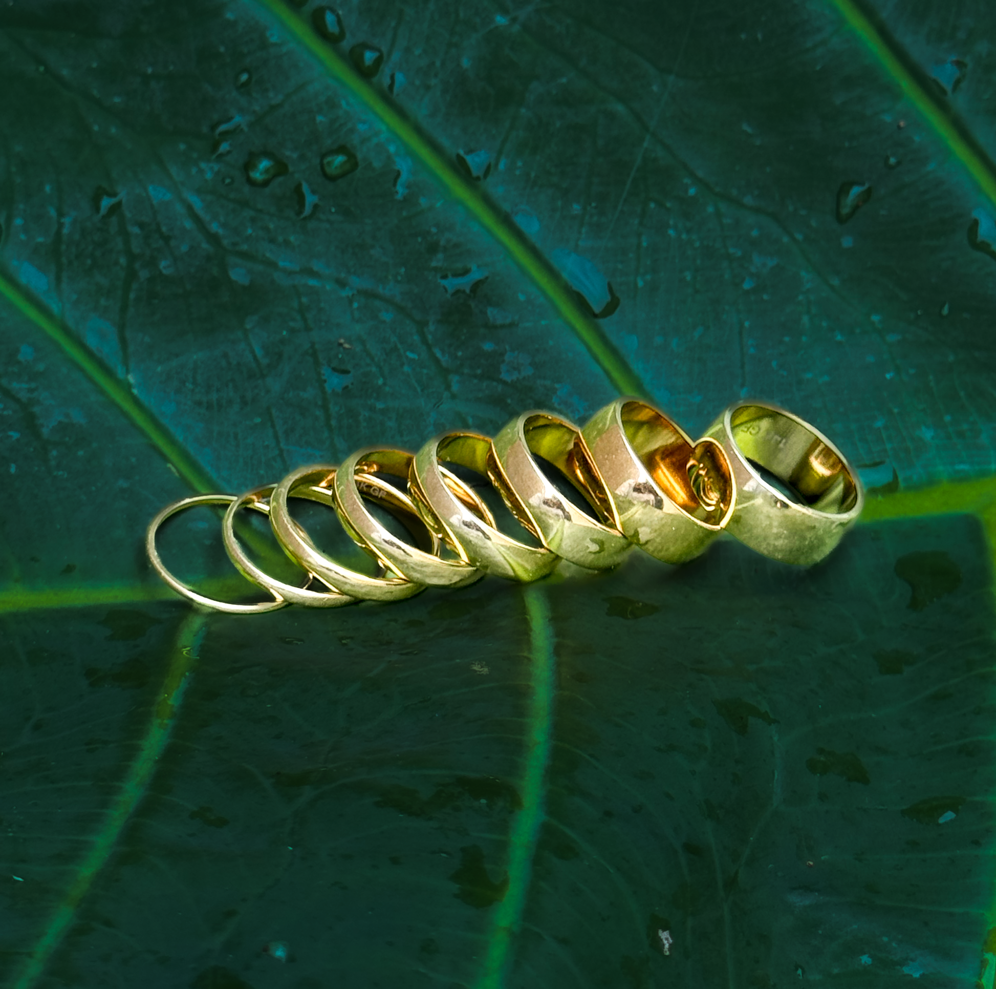 Round Rings