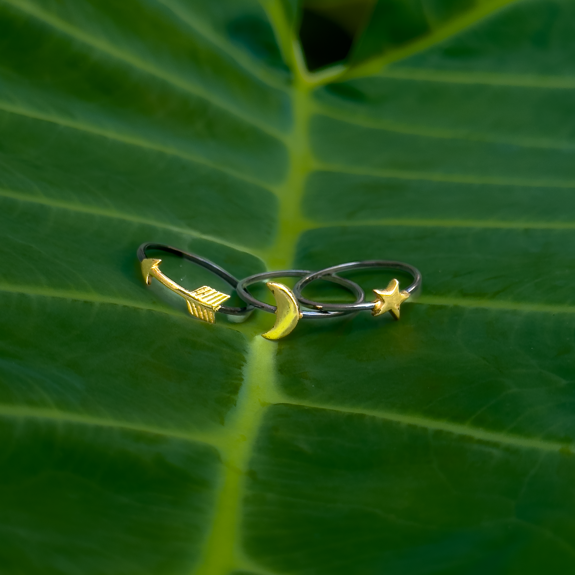 Paola Ring