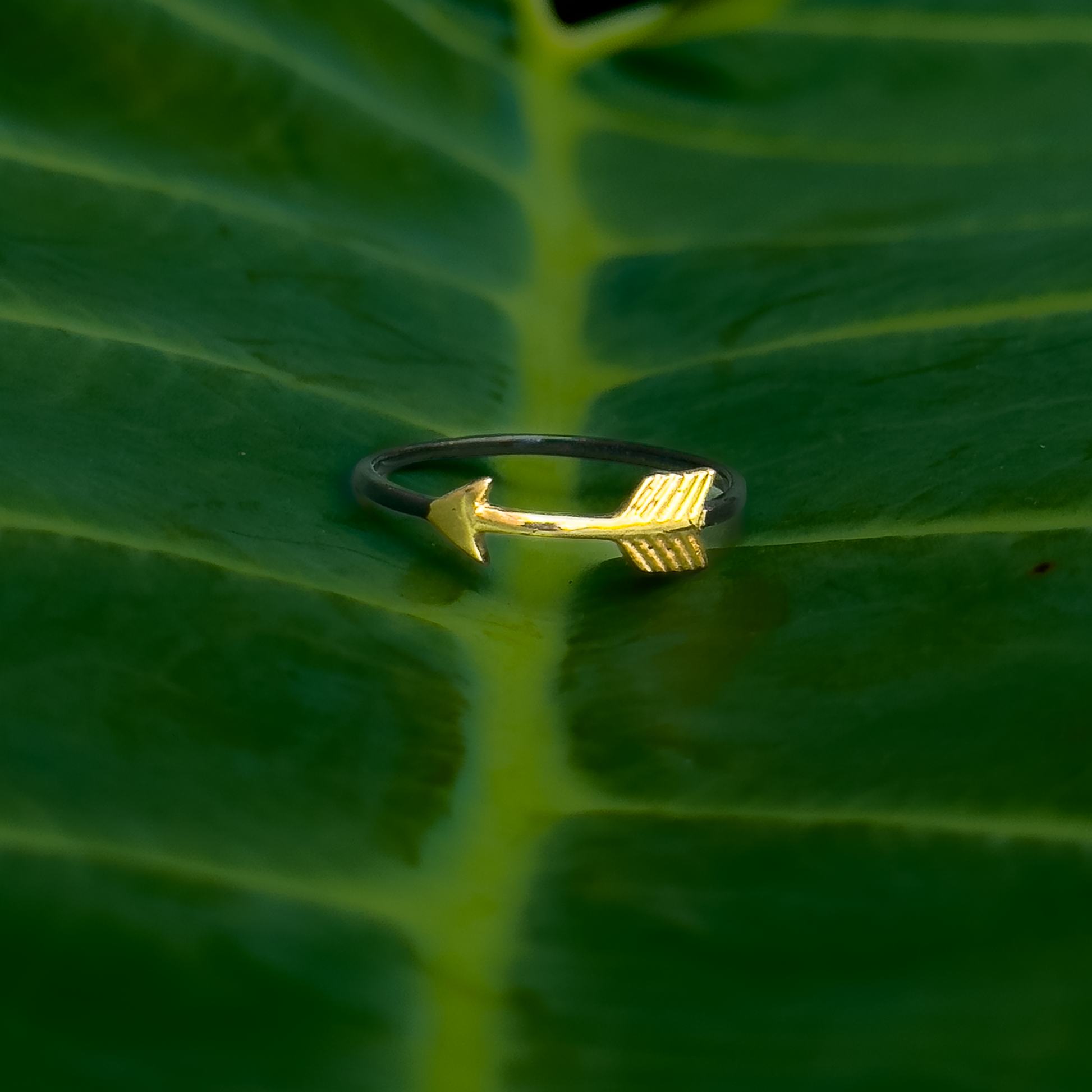 Paola Ring