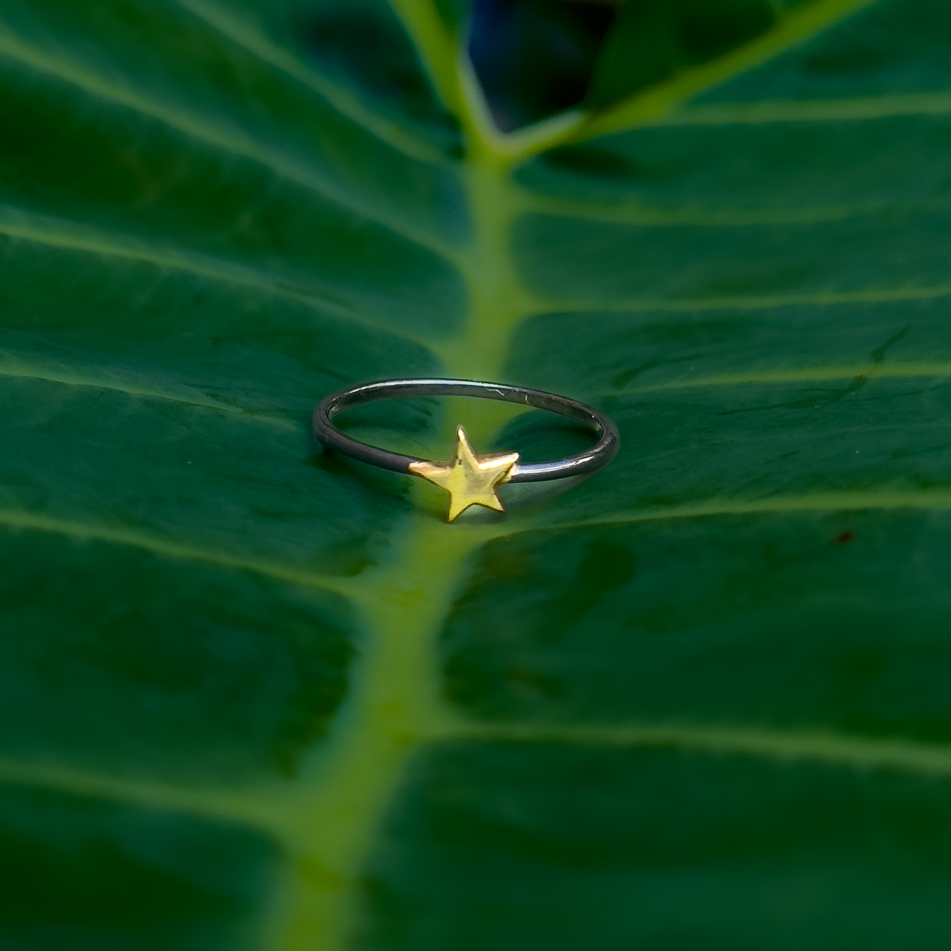 Paola Ring