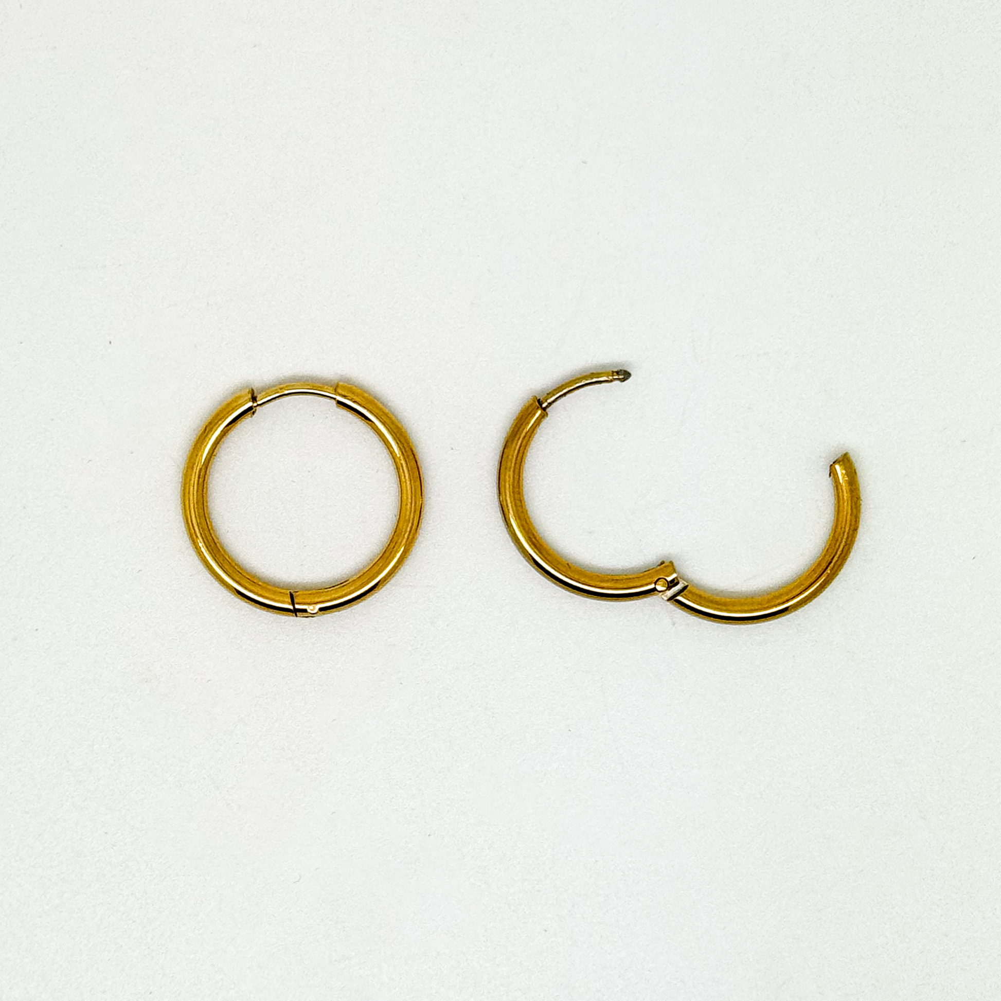 Croatia Circle Earrings