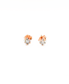 Star Zirconia Studs