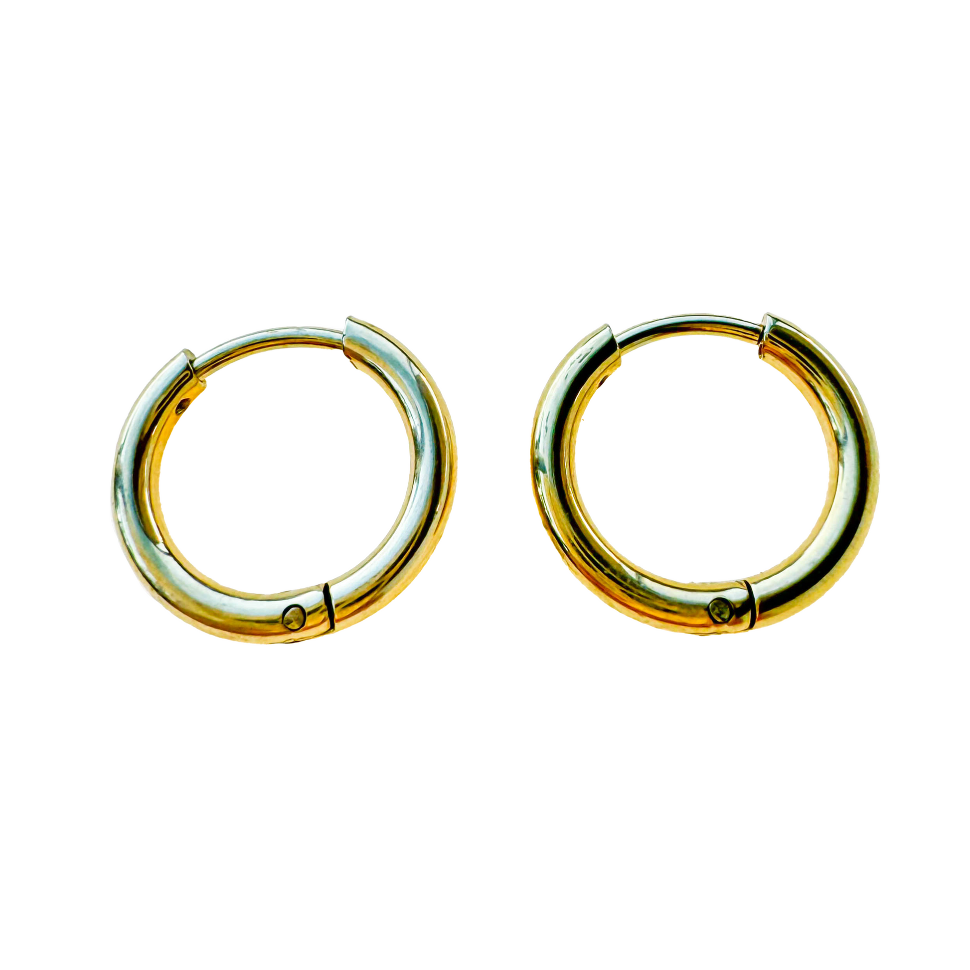 Croatia Circle Earrings