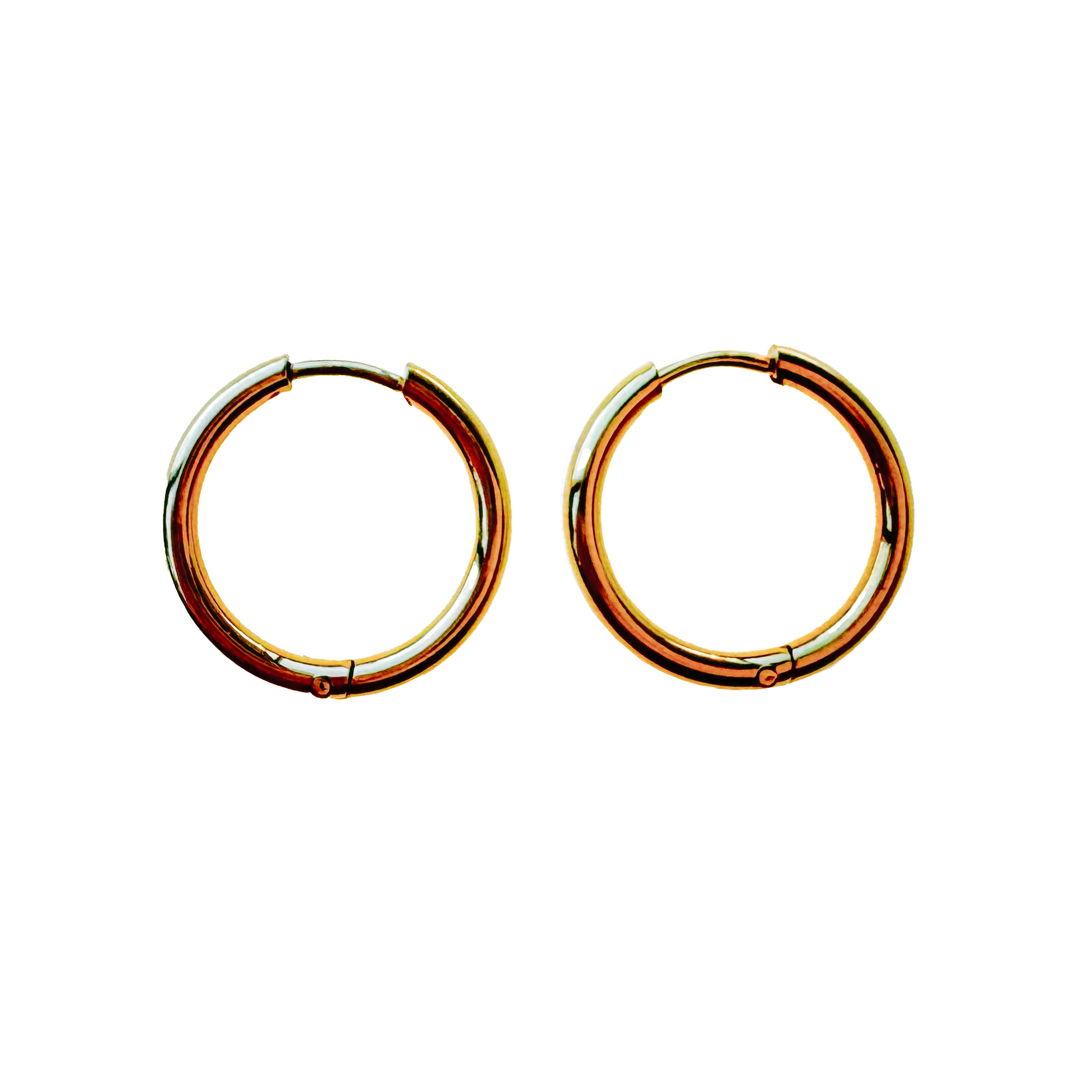 Croatia Circle Earrings