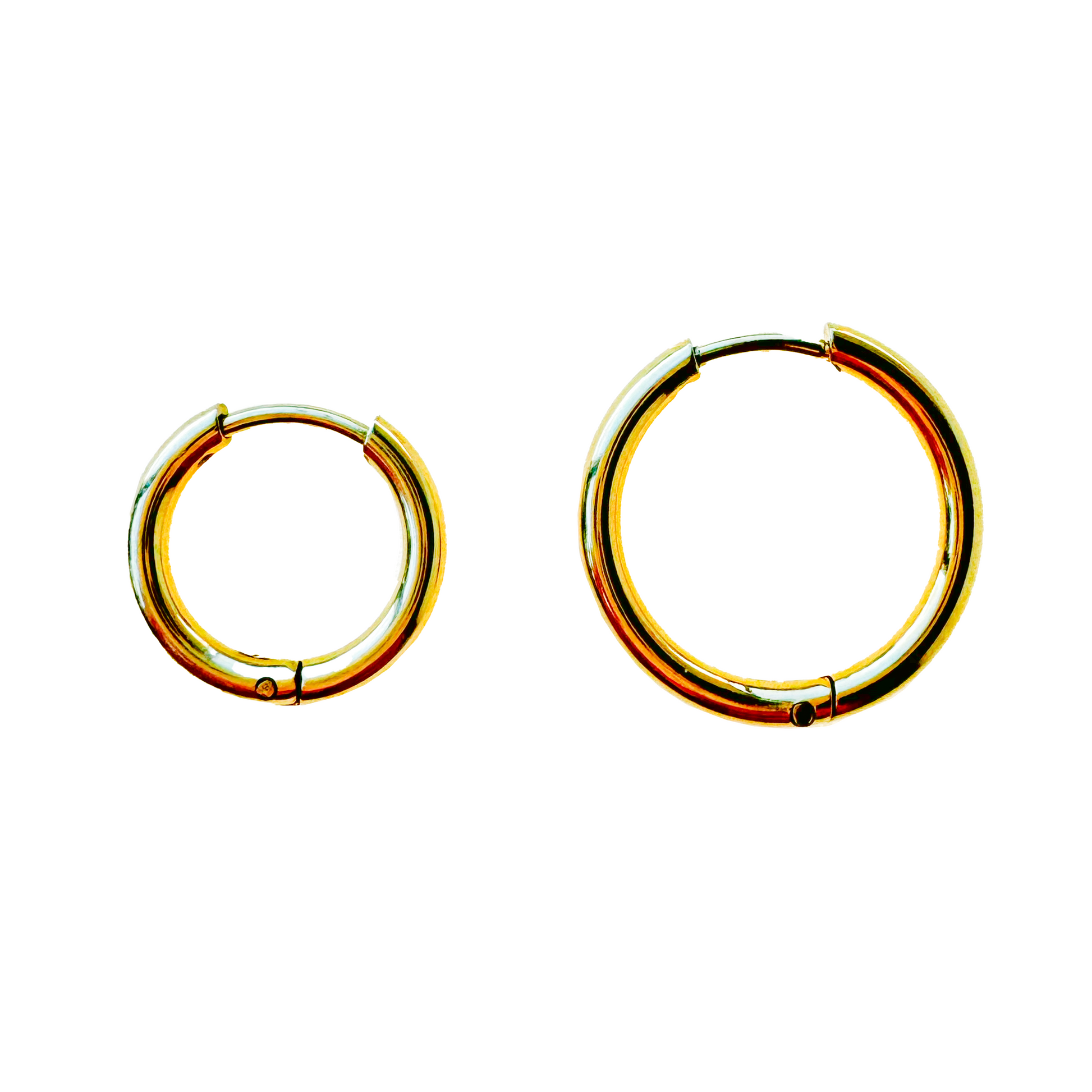 Croatia Circle Earrings