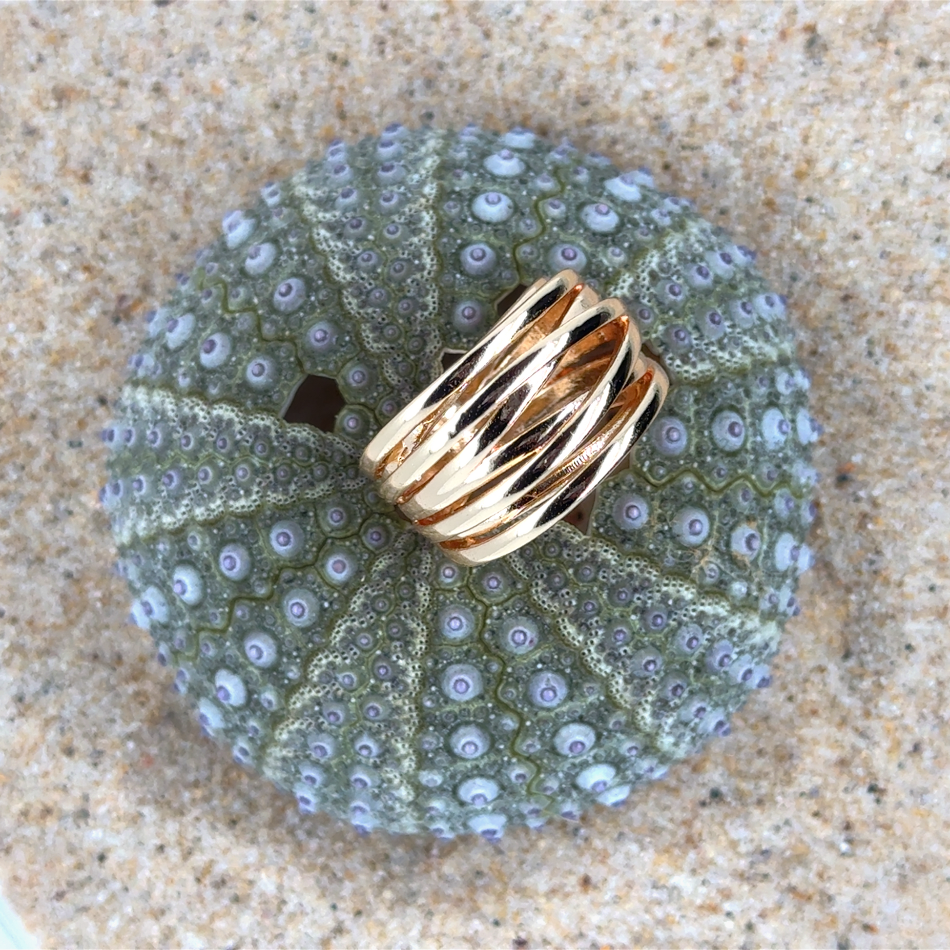 Miriam Ring
