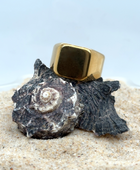 Big Square Signet Ring